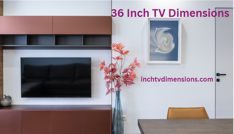 36 Inch TV Dimensions